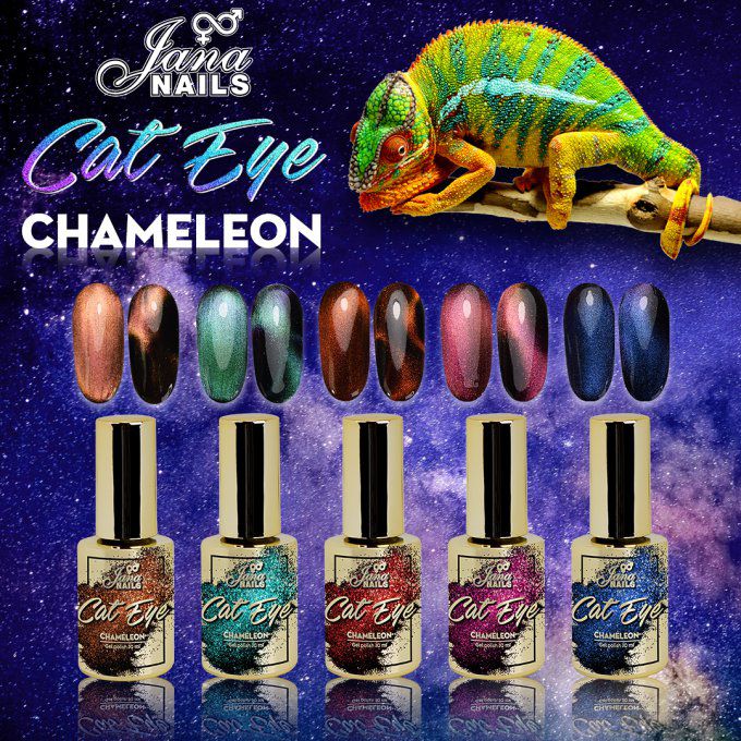 Cat eye chameleon N°4